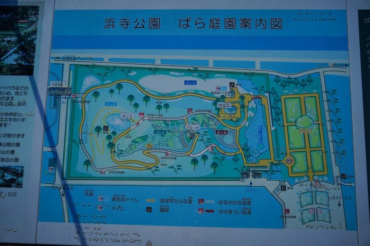 大阪の薔薇(バラ)園「浜寺公園ばら庭園」見頃や開花情報、アクセスなどを紹介