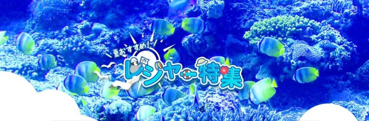 デイリーPlus(デイリープラス)