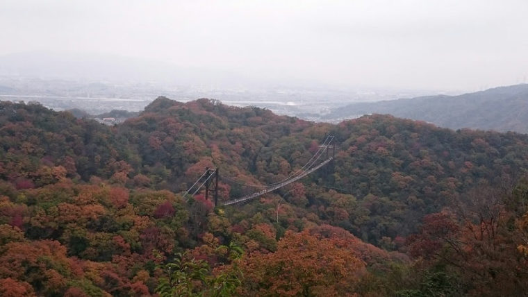 大阪のおすすめ絶景スポット「ほしだ園地/星のブランコ」