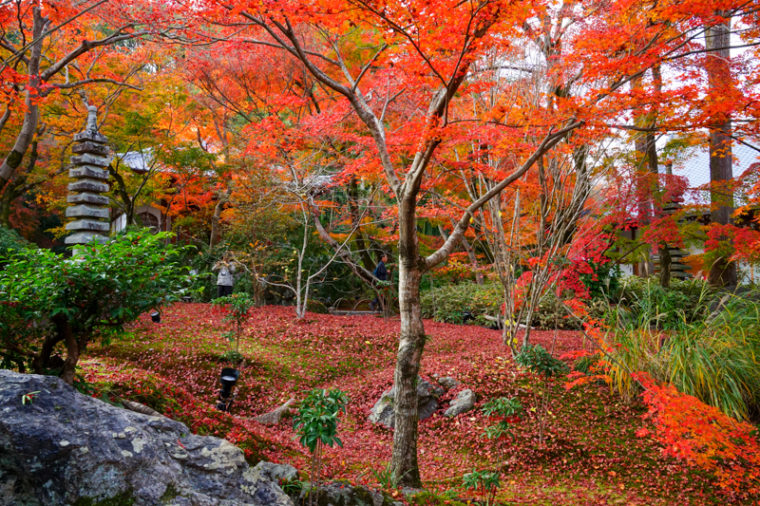 京都・嵐山の紅葉スポット「宝厳院」