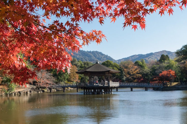 関西・奈良のおすすめ紅葉スポット「奈良公園」
