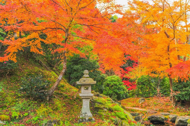 関西・京都のおすすめ紅葉スポット「瑠璃光院」
