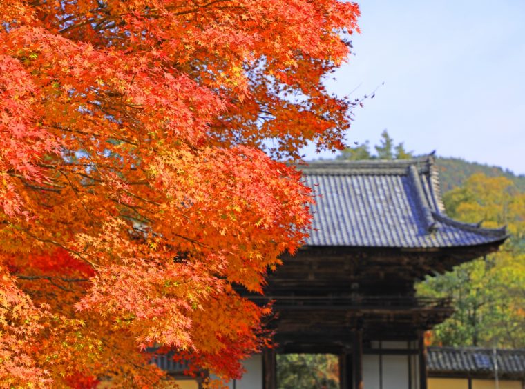 関西・京都のおすすめ紅葉スポット「神護寺」