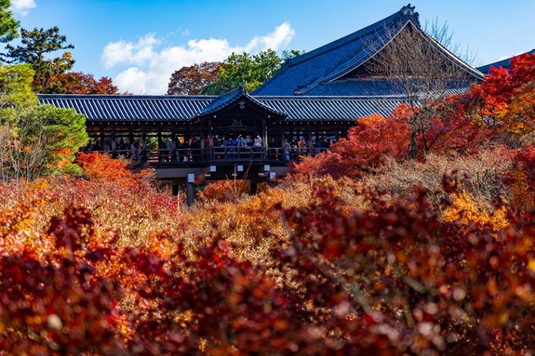 関西・京都のおすすめ紅葉スポット「東福寺」