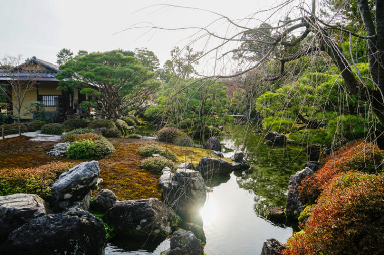 京都の梅の名所「城南宮 神苑」｜見頃やアクセスを紹介！