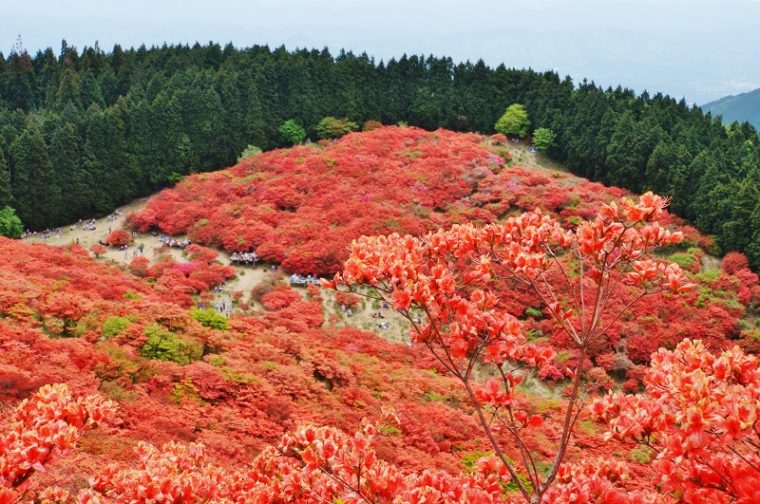 奈良のおすすめ絶景スポット「大和葛城山」