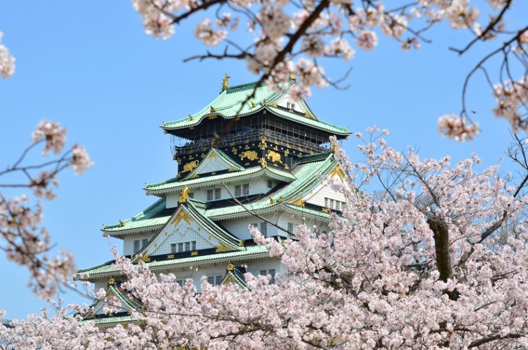 関西のおすすめ桜の名所「大阪城公園」