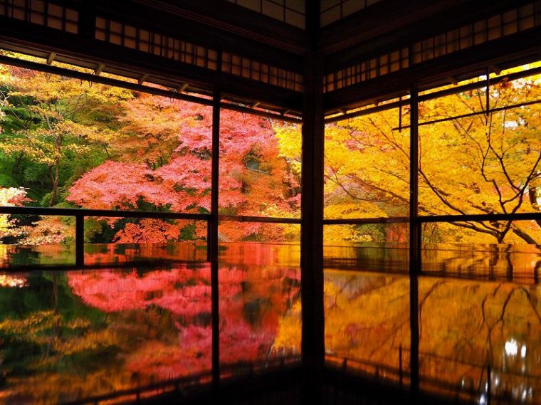 京都のおすすめ絶景スポット「瑠璃光院」