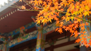 京都「永観堂の紅葉」