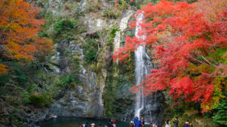 大阪・箕面の滝の紅葉