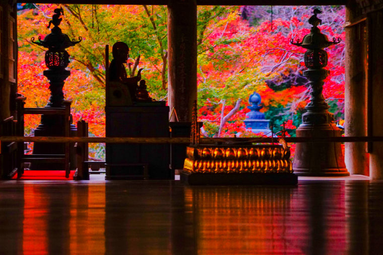 奈良「長谷寺の紅葉」