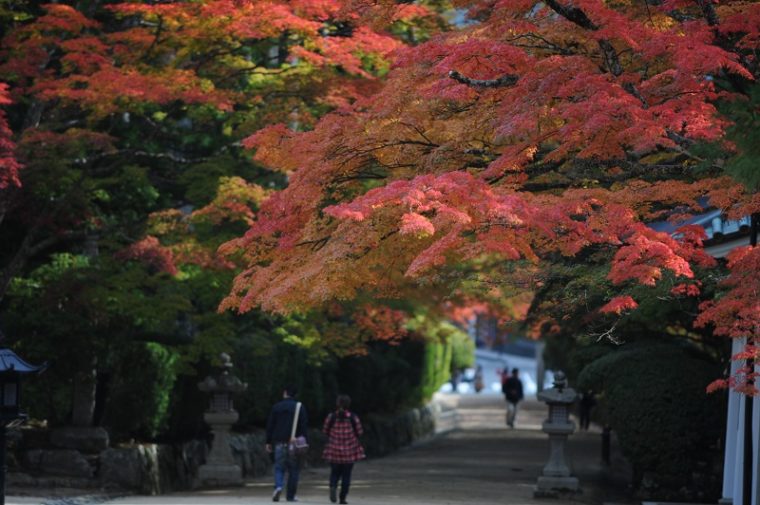 和歌山のおすすめ絶景スポット「高野山の紅葉」