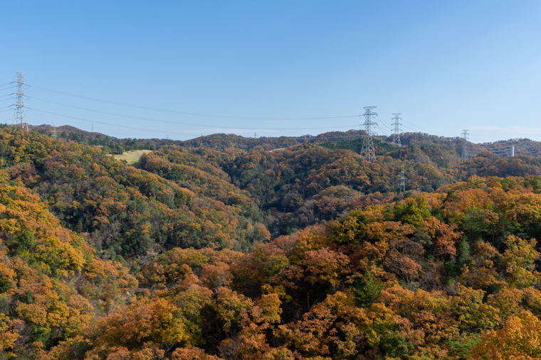 大阪の絶景紅葉スポット「ほしだ園地・星のブランコ」
