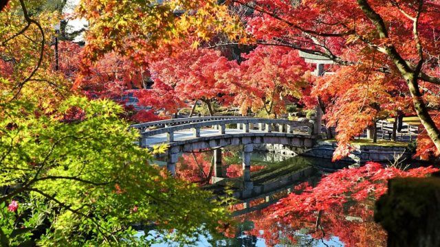 京都のおすすめ紅葉スポット「永観堂(禅林寺)」