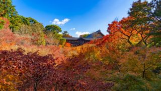 京都のおすすめ絶景スポット「東福寺の紅葉」