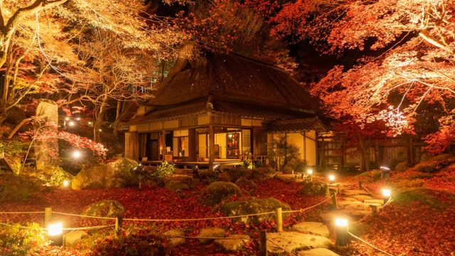 滋賀のおすすめの絶景スポット「石の寺 教林坊の紅葉ライトアップ」