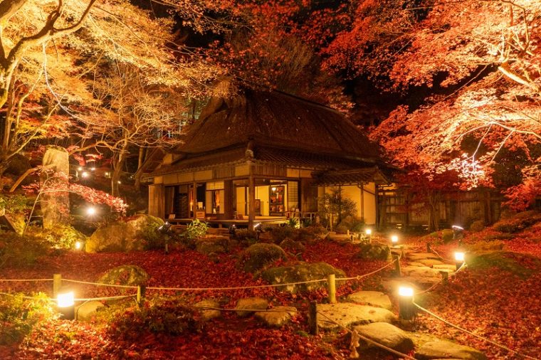 滋賀のおすすめの絶景スポット「石の寺 教林坊の紅葉ライトアップ」