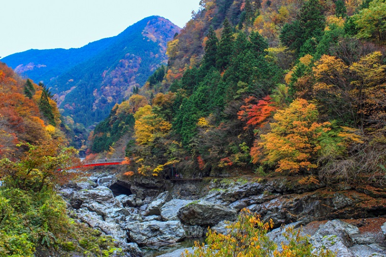 奈良のおすすめ絶景スポット「みたらい渓谷」