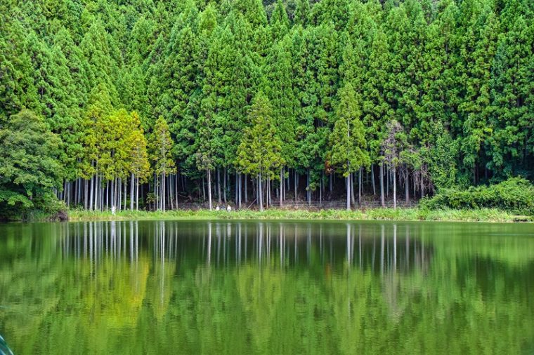 奈良のおすすめ絶景スポット「龍王ヶ渕」