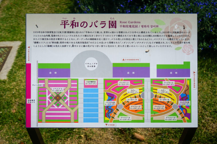 大阪のバラ園「万博記念公園 平和のバラ園」見頃やアクセスなどを紹介！