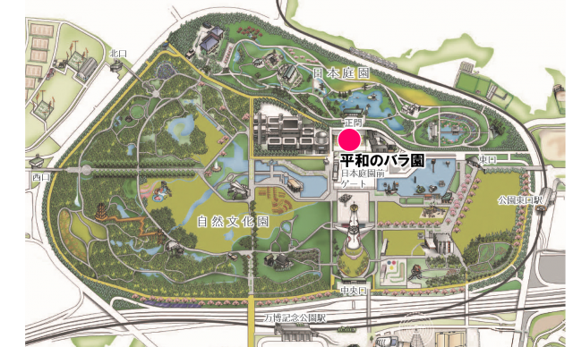 大阪のバラ園「万博記念公園 平和のバラ園」