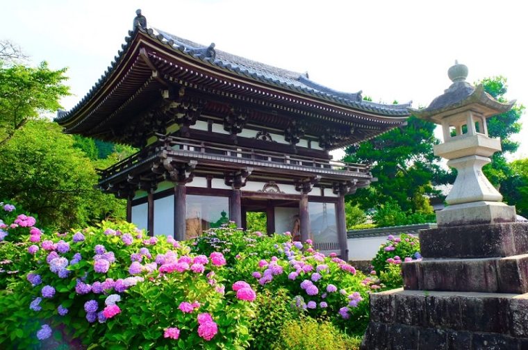 京都のあじさい寺「丹州観音寺」｜見頃やアクセスなどを紹介