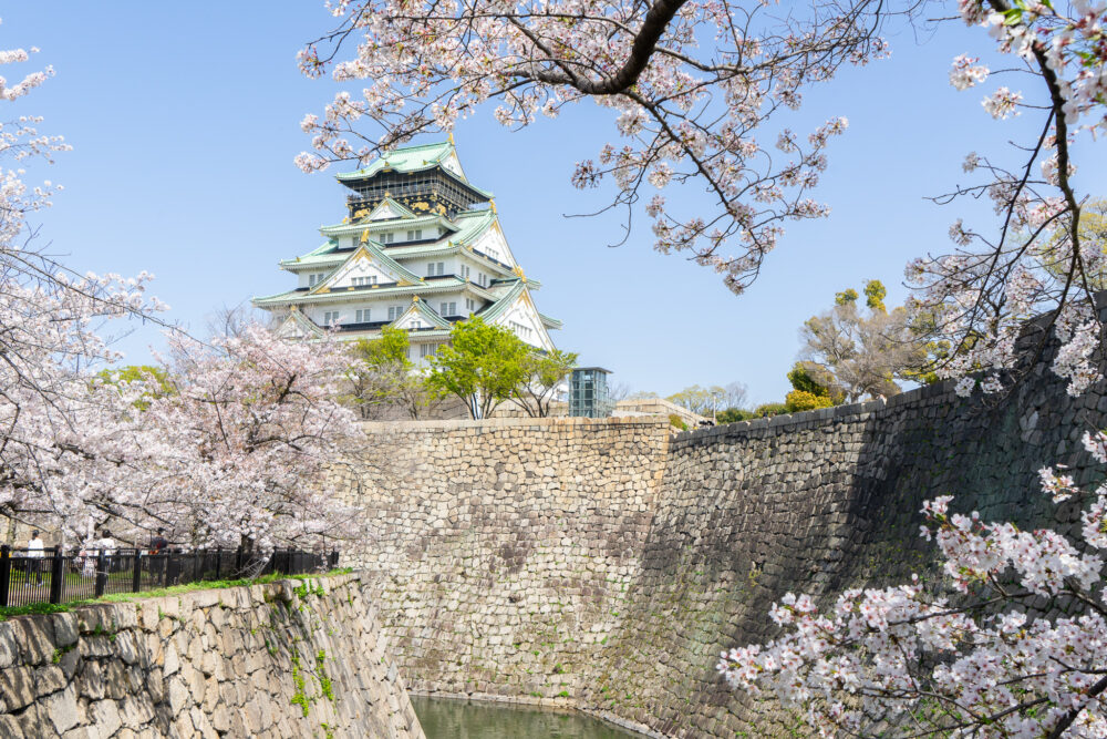 大阪城公園 西の丸庭園の桜