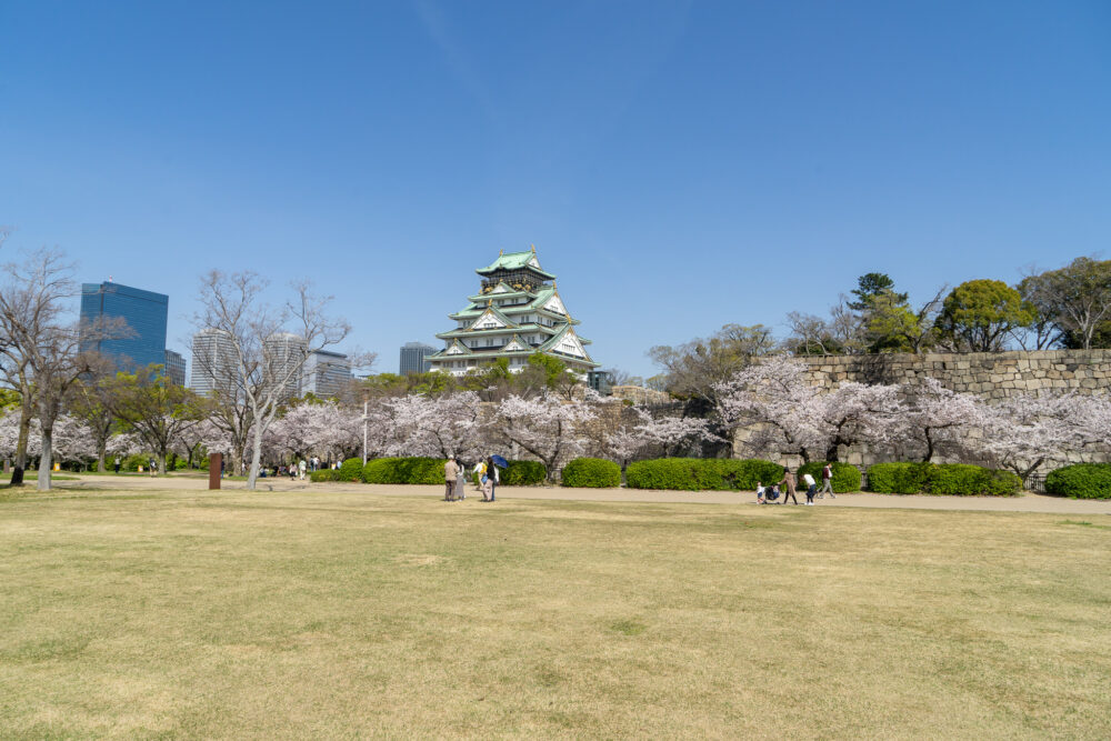 大阪城公園西の丸庭園の桜