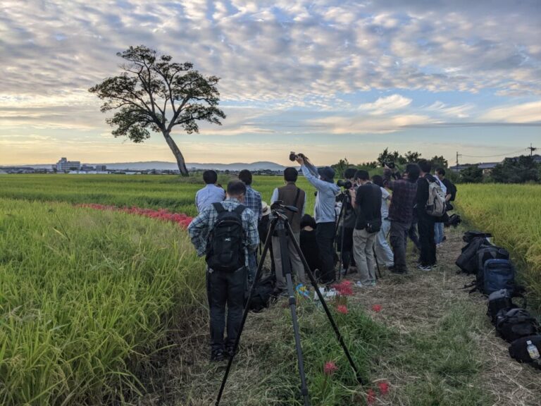 【2023】古宮土壇の彼岸花|見頃や開花情報、アクセスなどを紹介|ニシタビ